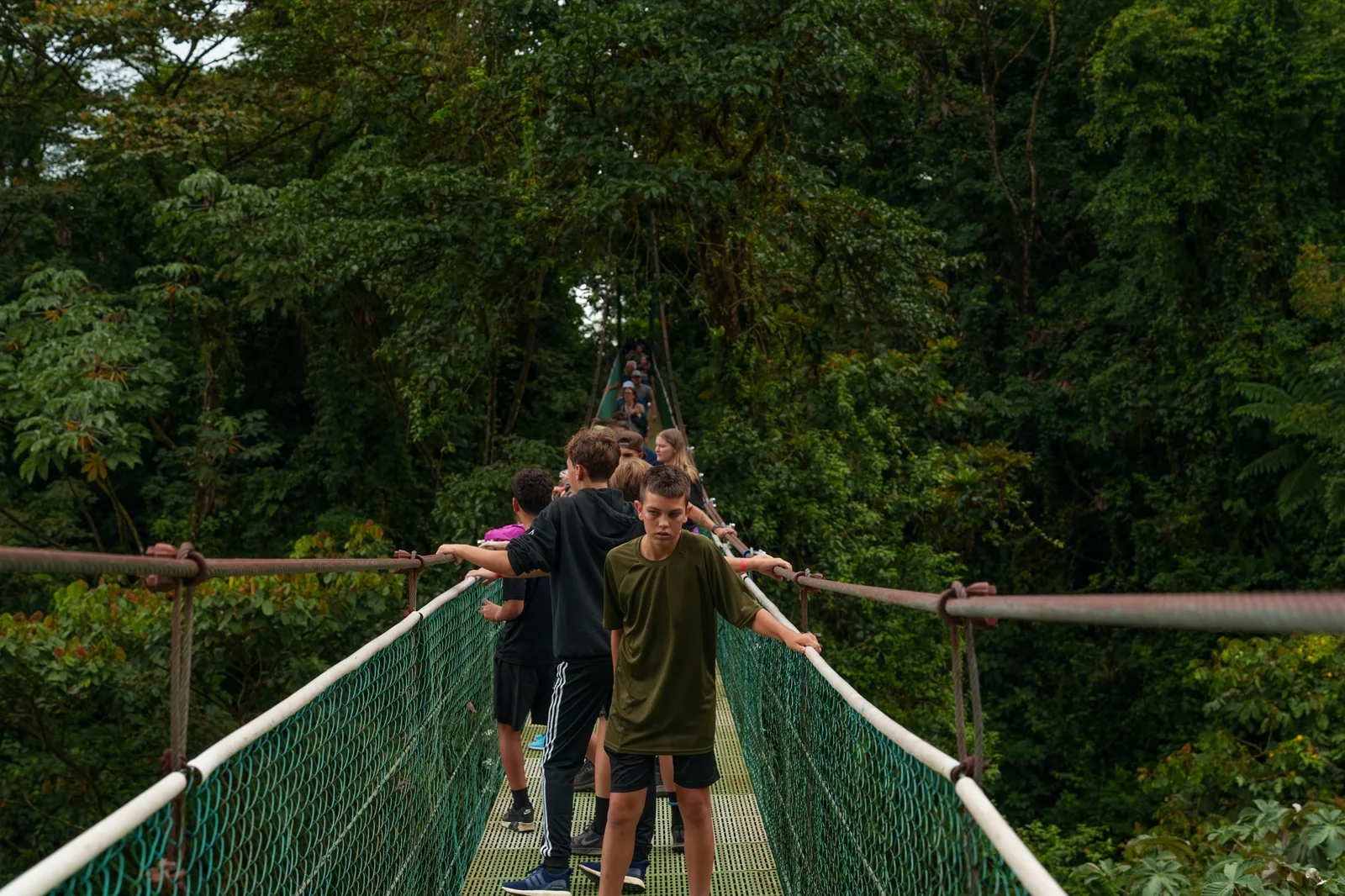 Group crossing a hanging bridge over the rainforest
